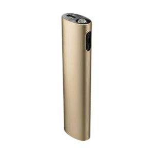 RAPOO POWER BANK P300